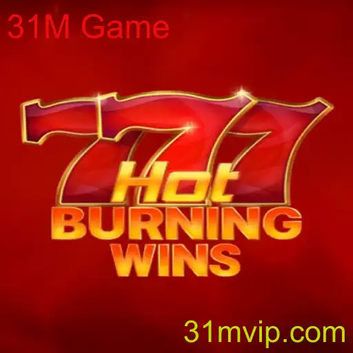 Descobrindo o Universo de HotBurningWins e o Fenômeno 31M Game